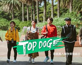 麻豆直播《TOP DOG》免费在线观看