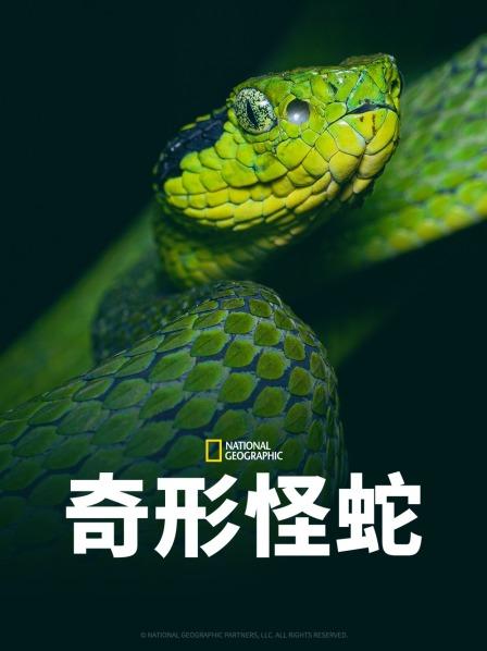 麻豆破解版《奇形怪蛇》免费在线观看