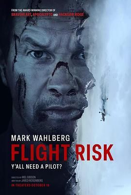 麻豆破解版《插翅难飞 Flight Risk》免费在线观看